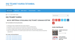 Desktop Screenshot of disticaretkursuistanbul.com